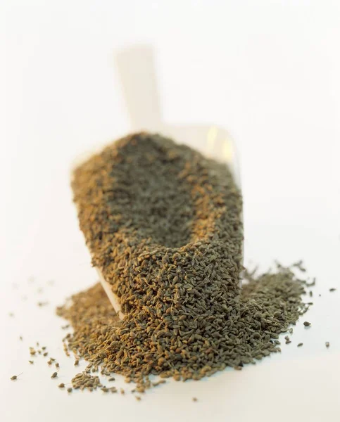 Fennel seeds in scoop — Stock Photo, Image