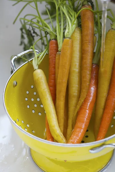 Zanahorias anaranjadas y amarillas — Foto de Stock