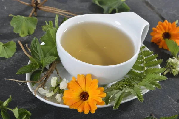 Чашка травяного чая — стоковое фото