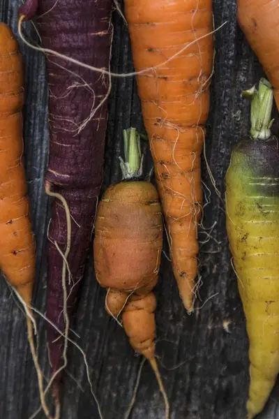 Various fresh carrots — Stock Photo, Image