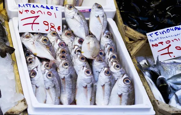 Pescado fresco con etiquetas de precios —  Fotos de Stock