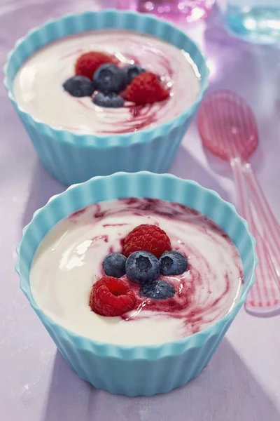 Joghurt-nyár bogyók — Stock Fotó