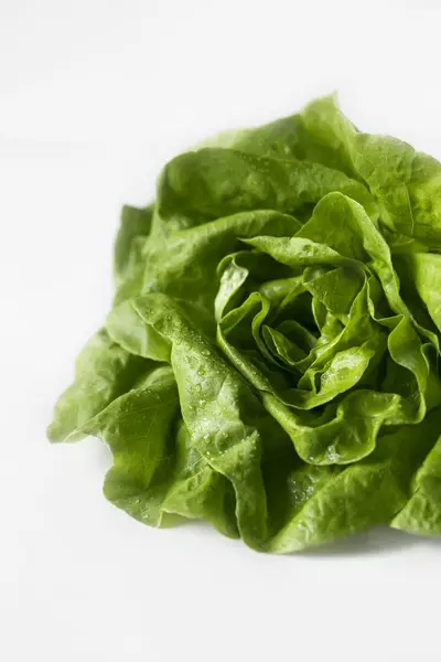 Fresh lettuce head — Stock Photo, Image