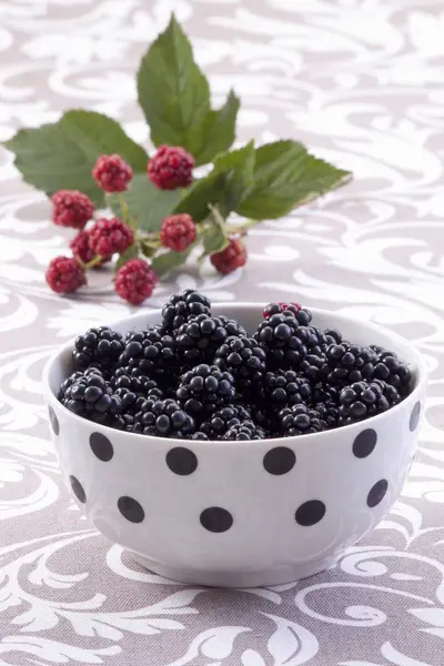Blackberries in polka-dot bowl — Stock Photo, Image