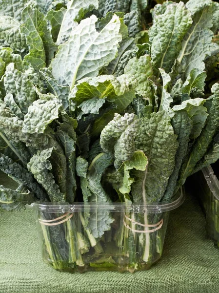 Bundles of kale in plastic container — Stock Photo, Image