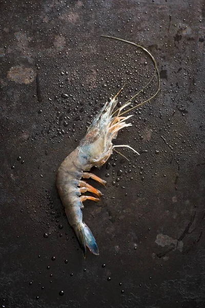 Primer Plano Vista Superior Langostino Azul Sobre Superficie Negra Húmeda — Foto de Stock