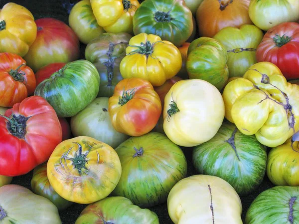 Various heirloom tomatoes — Stock Photo, Image