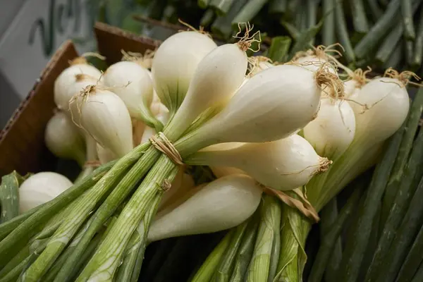 Paquetes de cebolletas — Foto de Stock