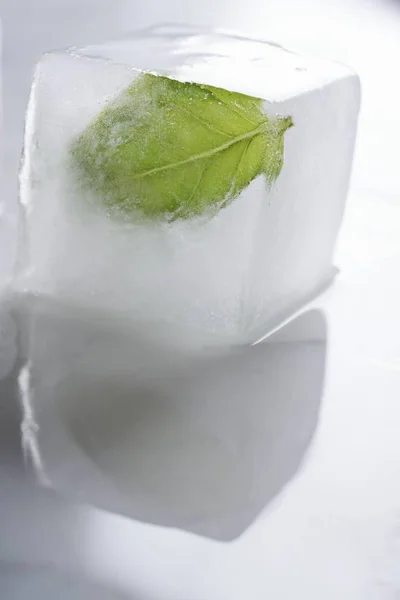 바 질 잎을 냉동 — 스톡 사진