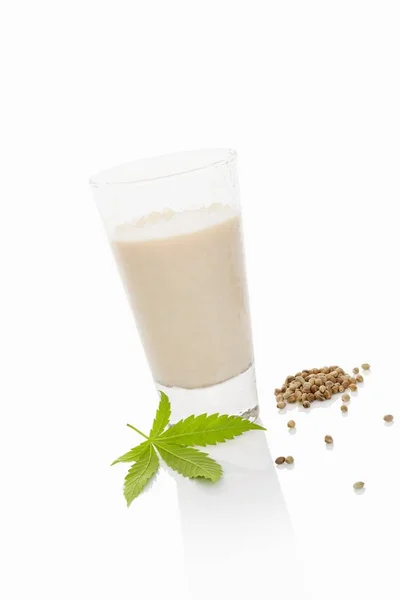 Glass of hemp milk — Stock Photo, Image