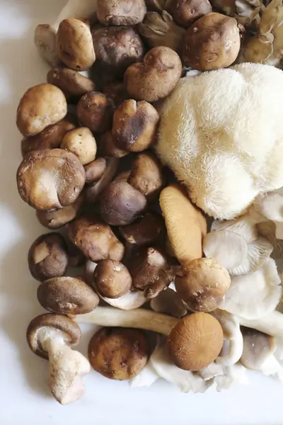 Draufsicht Auf Maitake Mit Shitake Piopinni Austern Und Löwenmähnenpilzen — Stockfoto