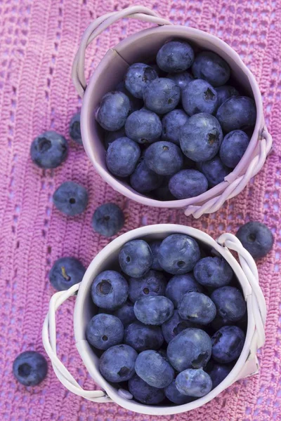 Frische Blaubeeren in Töpfen — Stockfoto