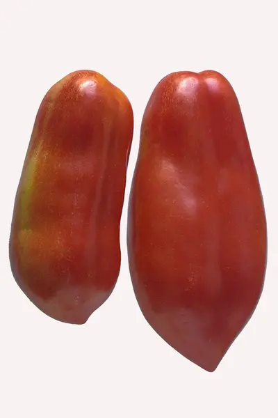 Tomates rojos de San Marzano —  Fotos de Stock