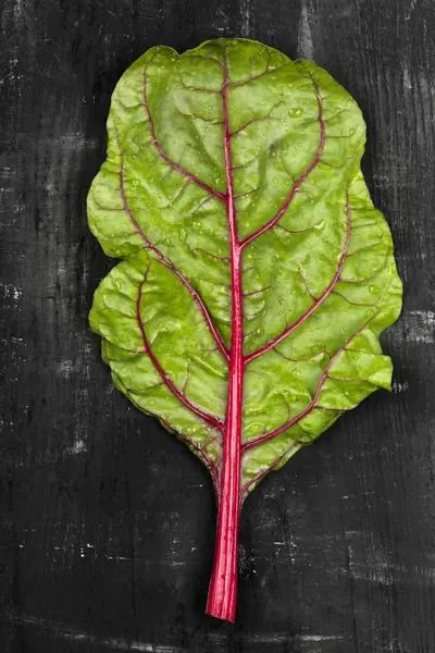 Fresh leaf of rhubarb chard — Stock Photo, Image