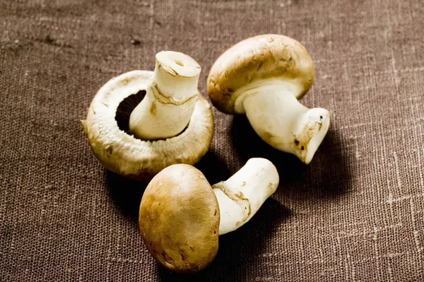 Cogumelos shiitake frescos — Fotografia de Stock