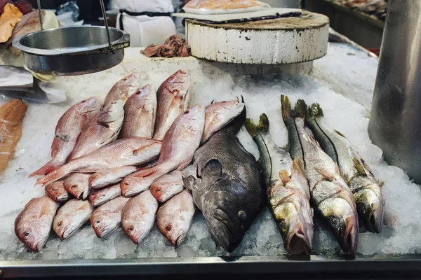Επιλογή από φρέσκα ψάρια — Φωτογραφία Αρχείου