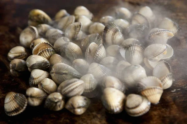Closeup View Steaming Grilled Cockles — Stock Photo, Image