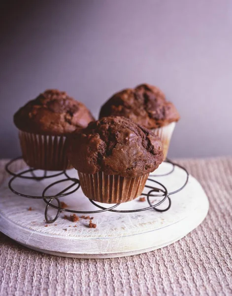 Chocolate muffins on cooling tray — Stock Photo, Image