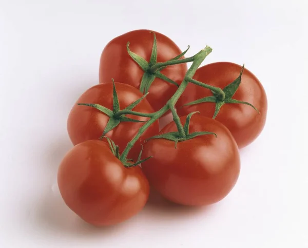 Czerwony pęczek świeżych pomidorów — Zdjęcie stockowe