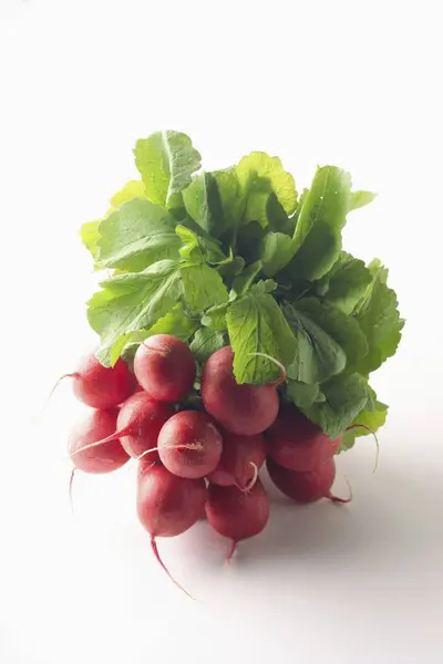 Bunch of fresh radishes with leaves — Stock Photo, Image