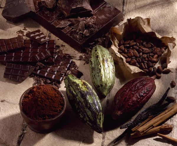 Cacao bonen en shell — Stockfoto