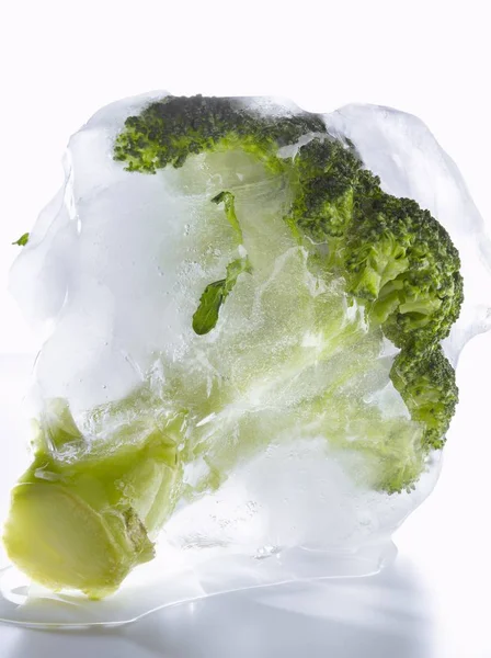 Brokuły Lód Białym Tle — Zdjęcie stockowe