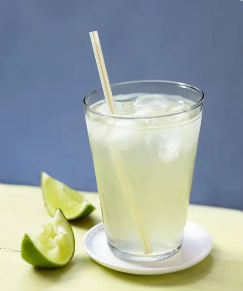 Refreshing Lime cordial — стоковое фото