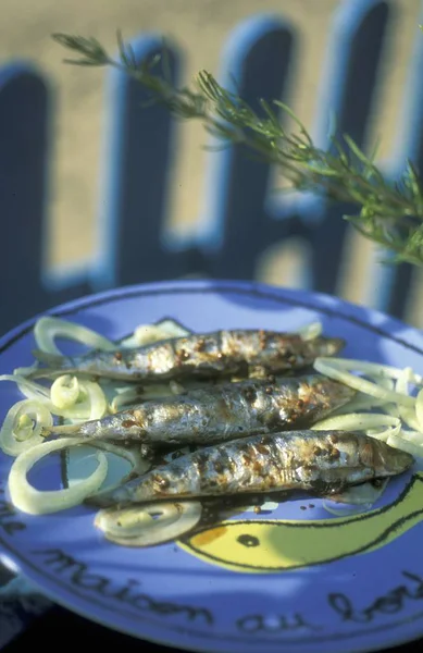 Grillade sardiner med lök — Stockfoto