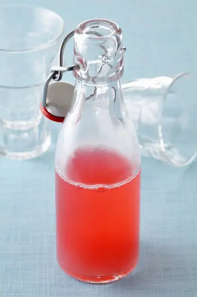 Botella de ruibarbo cordial —  Fotos de Stock