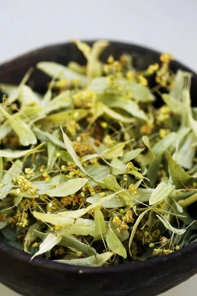 Closeup view of dried lime flowers in dish — Stock Photo