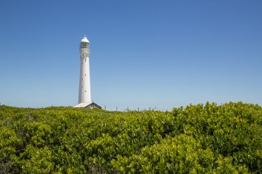 Slangkop deniz feneri, Kommetjie, Cape Town, Güney Afrika