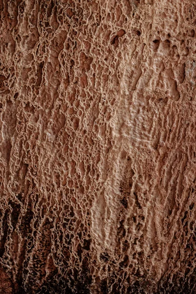 Textura de uma pedra — Fotografia de Stock