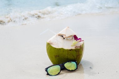 Coco ve Puan okyanus kıyısında