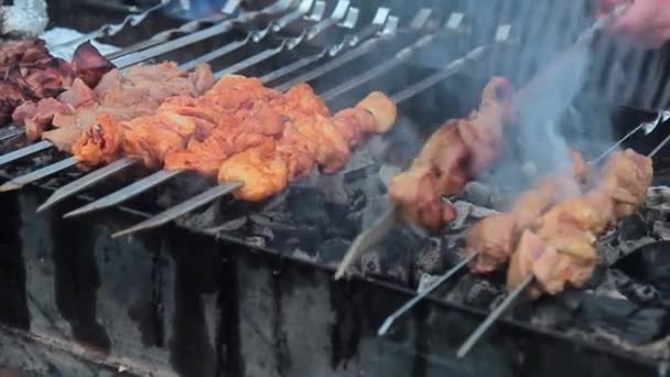 Mangalda Şiş Kebap Videosu Mangalda Şiş Kebap Videosu
