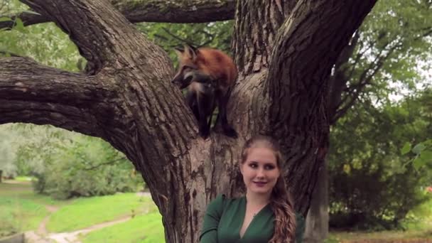 Young woman stands near tree on which sits red fox in park.