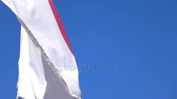 4 k で日本の旗のビデオ — ストック動画