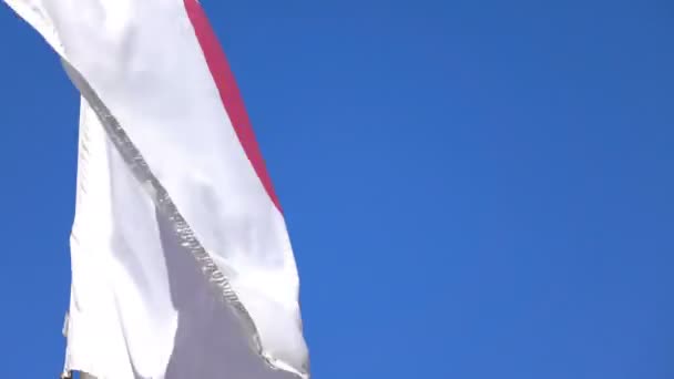 Video de la bandera de Japón en 4K — Vídeo de stock