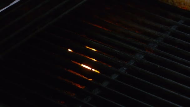 Vidéo de grill au ralenti — Video