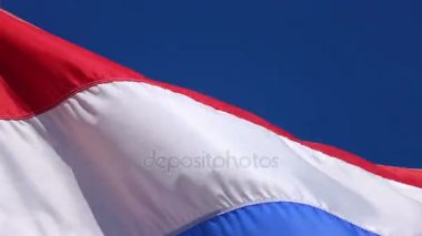 Hollanda bayrağı 4 k video