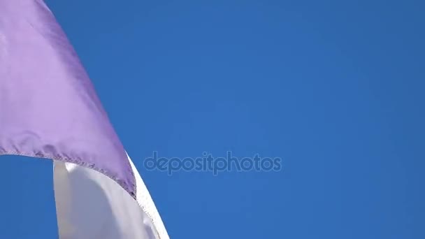 Video de la bandera francesa en 4K — Vídeo de stock