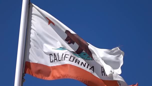加利福尼亚州旗在真正慢动作的两个视频 — 图库视频影像