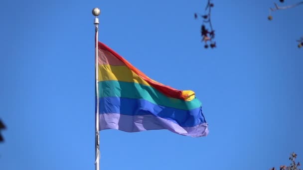 Dois vídeos de bandeira do arco-íris em câmera lenta real — Vídeo de Stock