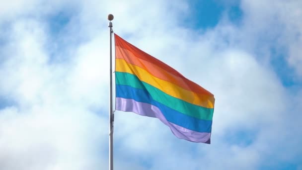 Zwei Videos von Homosexuell Flagge in echter Zeitlupe — Stockvideo