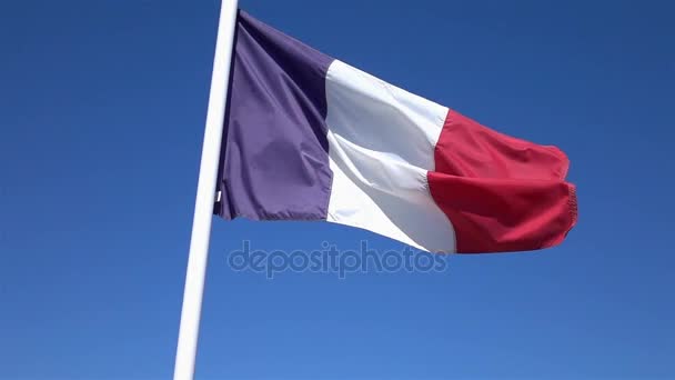 Відео французького прапора в реальному повільному русі — стокове відео