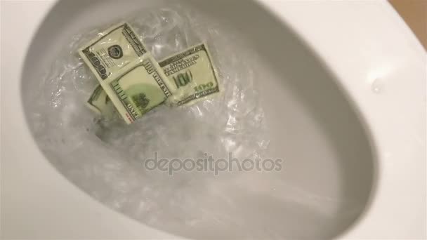 Video of flushing dollars in toilet bowl in real slow motion — Stock Video