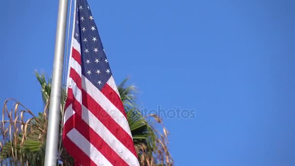Видео развевающегося на ветру флага США в 4К — стоковое видео