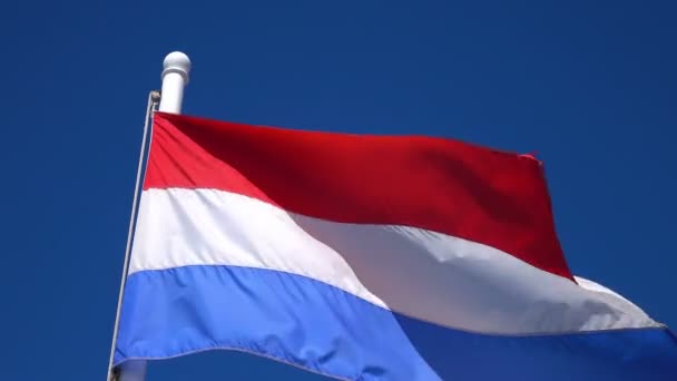 Vidéo du drapeau néerlandais en 4K — Video