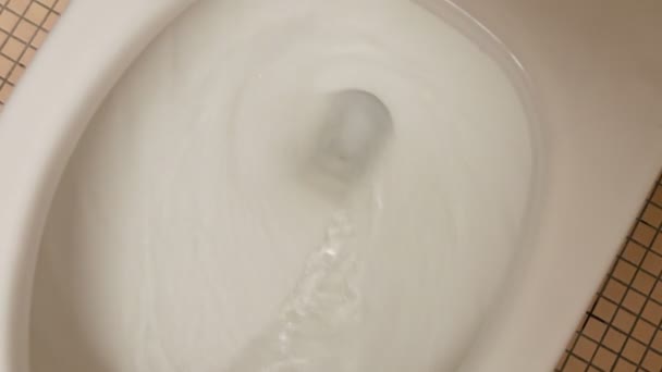 Video av spolning eurosedlar i toalettstolen i 4k — Stockvideo