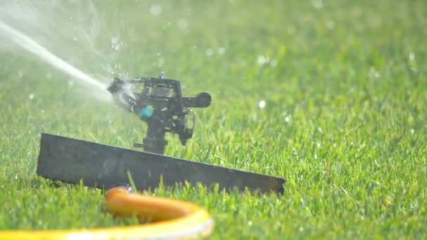 Drie video's van de sprinkler in de tuin in 4k — Stockvideo