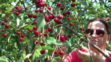 4 k kiraz meyve toplama kadının iki videoları